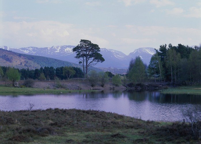 Uitzicht over een lochan bij Boat of Garten. Foto VisitScotland/Paul Tomkins, alle rechten voorbehouden