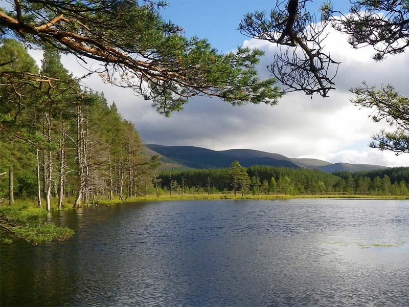 Uitzicht over een loch