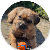 Winky maakt het gezellig op kantoor