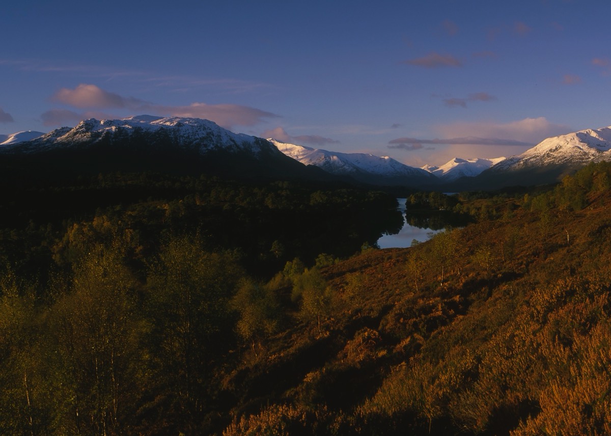 Dundreggan Rewillding Center