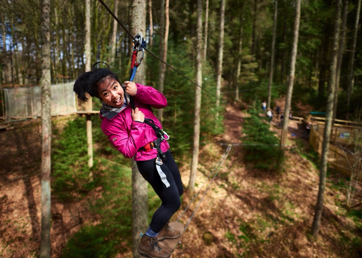 Abseilen vanuit de boomtoppen.