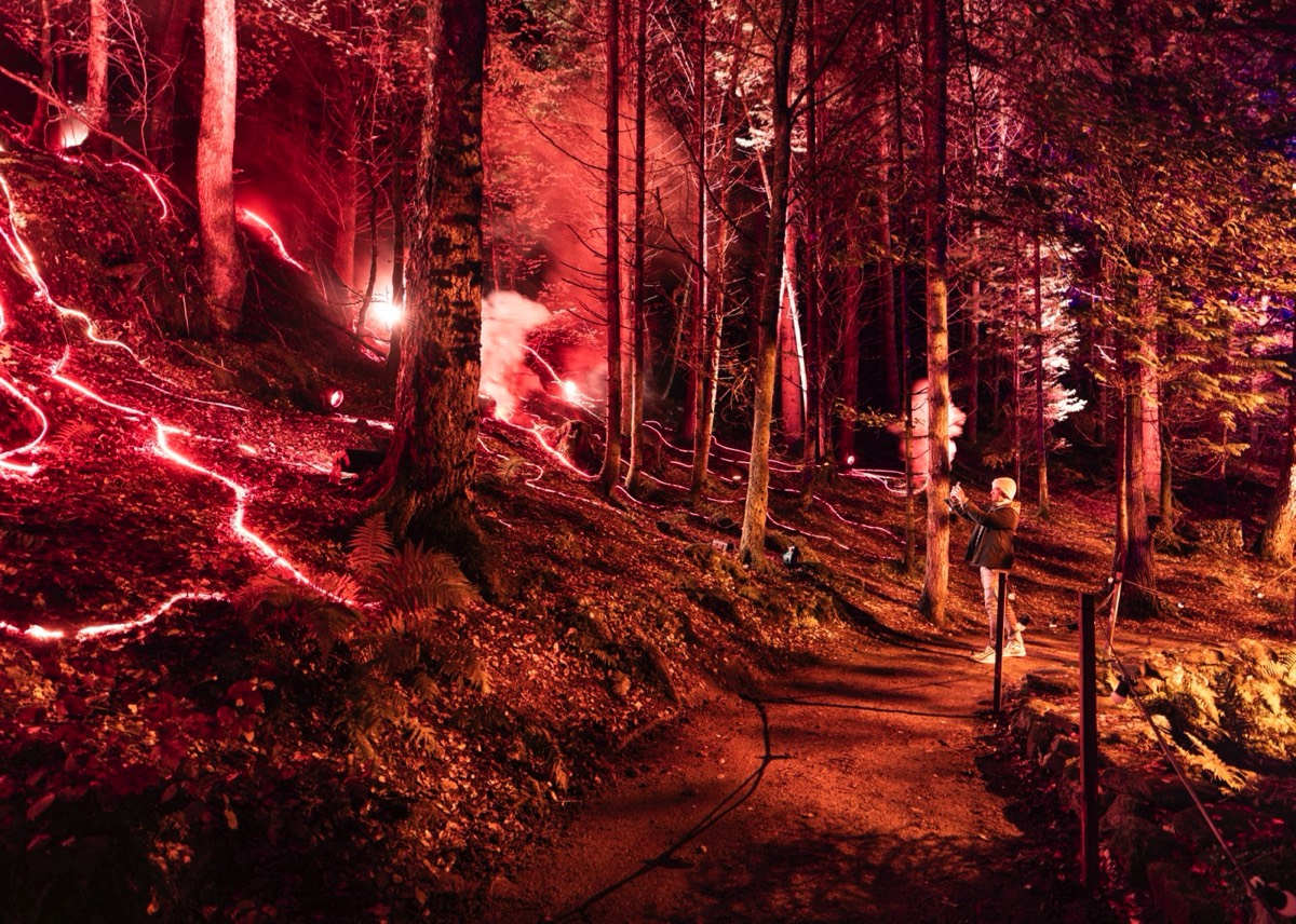 The Enchanted Forest. Een jaarlijks terugkerend lichtfestival in het najaar bij Pitlochry (© VisitScotland / Kenny Lam)