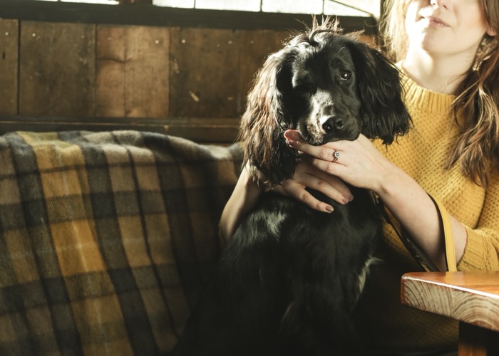 Uw welopgevoede hond is ook welkom in Schotland