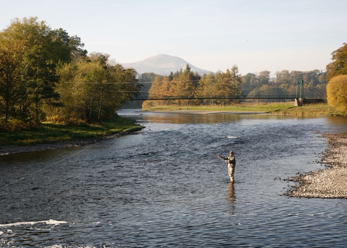 Een vliegvisser op de River Tweed bij Dryburgh in de Schotse Borders